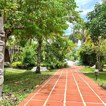 El Clan Hostel Puerto Viejo de Talamanca Eksteriør bilde